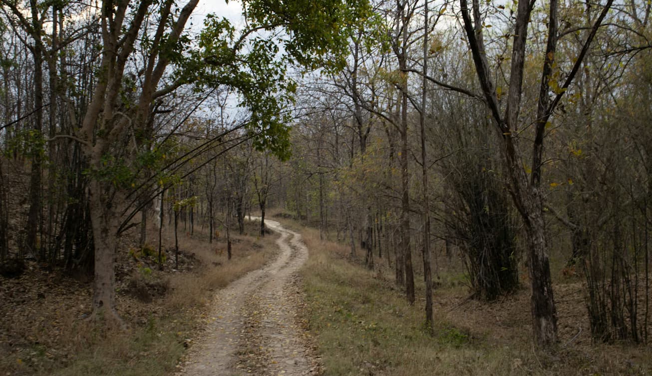 Jabalpur Tour Package For 8 Days image 5