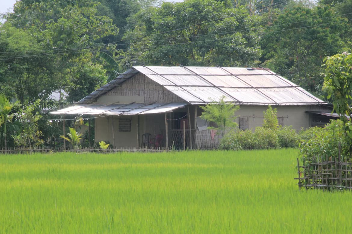 North East Charm Of Assam image 3