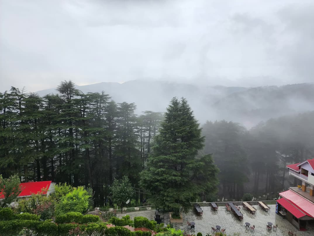 Patnitop
