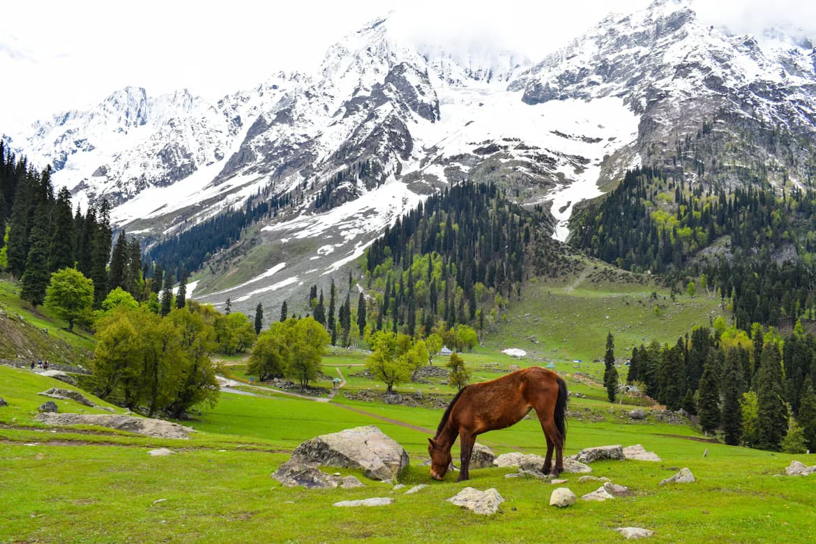 Sonmarg